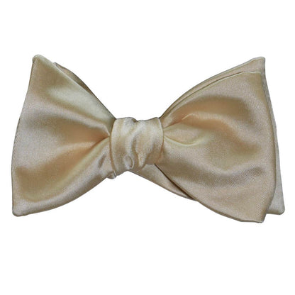 Champagne Bow Tie and Pocket Hankie -SELF TIE #